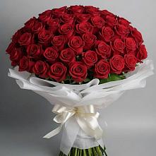 Букет 101 Красная роза Блэк Мэджик в Печенге