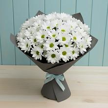 Букет цветов из:  Хризантемы #REPLACE_PRED# Печенге