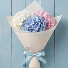 Букет цветов из:  Гортензия в Печенге