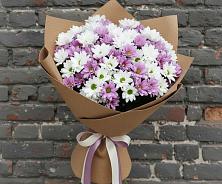 Букет цветов из:  Хризантемы в Печенге