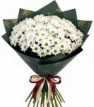 Букет цветов из:  Хризантемы в Печенге