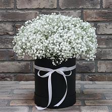 Цветочная композиция из Гипсофила в шляпной коробке в Печенге
