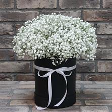 Цветочная композиция из Гипсофила в шляпной коробке в Печенге