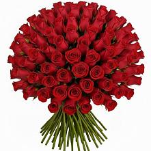 Букет Красные розы Чери Лав в Печенге