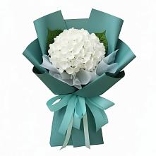 Букет цветов из:  Гортензия в Печенге